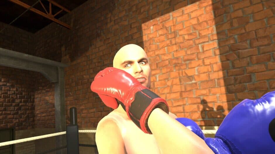 Era of Combat: Boxing screenshot