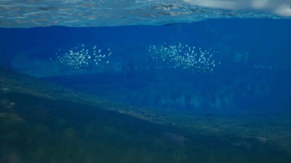 MultiVerse screenshot