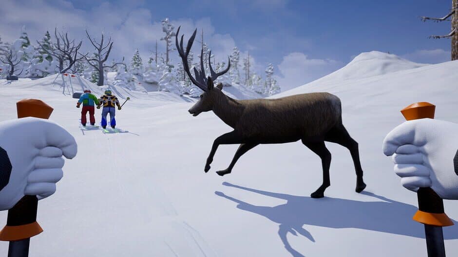 Skiing VR screenshot
