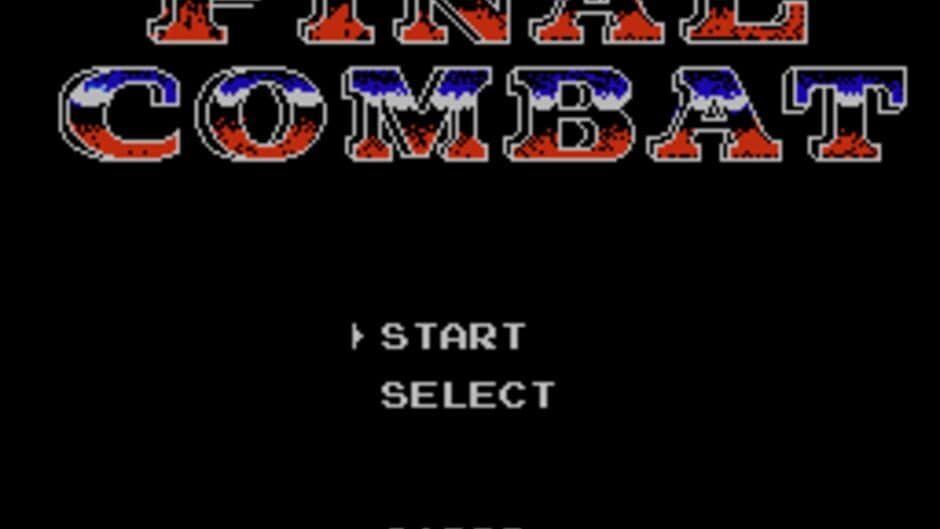 Final Combat screenshot