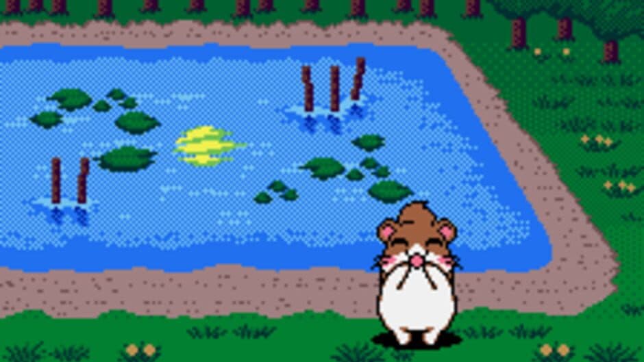 Dokodemo Hamster 3: O Dekake Safuran screenshot
