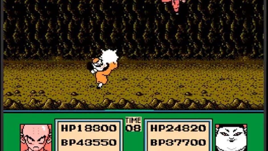 Dragon Ball Z: Gekitou Tenkaichi Budoukai screenshot