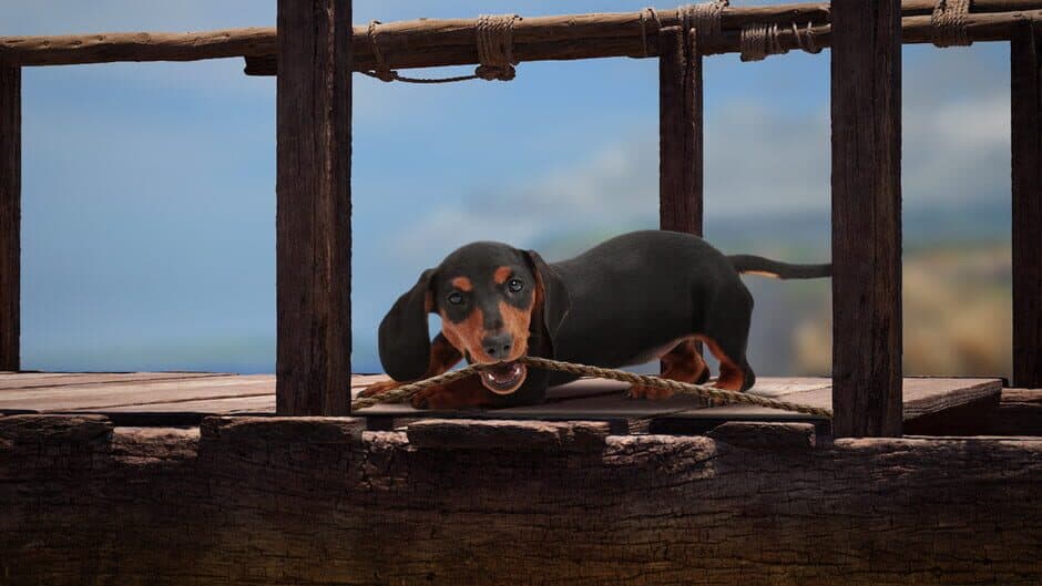 The Lost Dachshund screenshot
