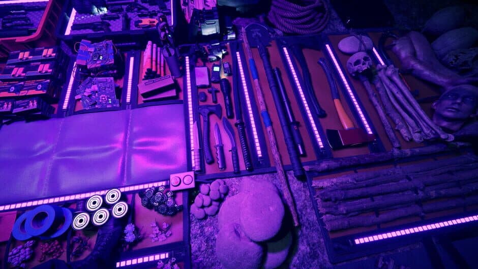 Sons of the Forest screenshot