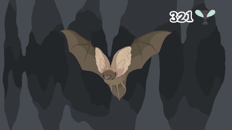 The Bat D screenshot