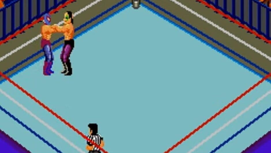 Fire Pro Wrestling: Combination Tag screenshot