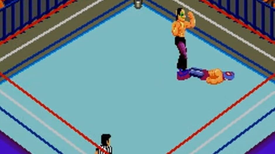 Fire Pro Wrestling: Combination Tag screenshot
