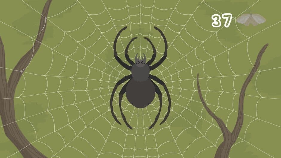 The Spidy D screenshot