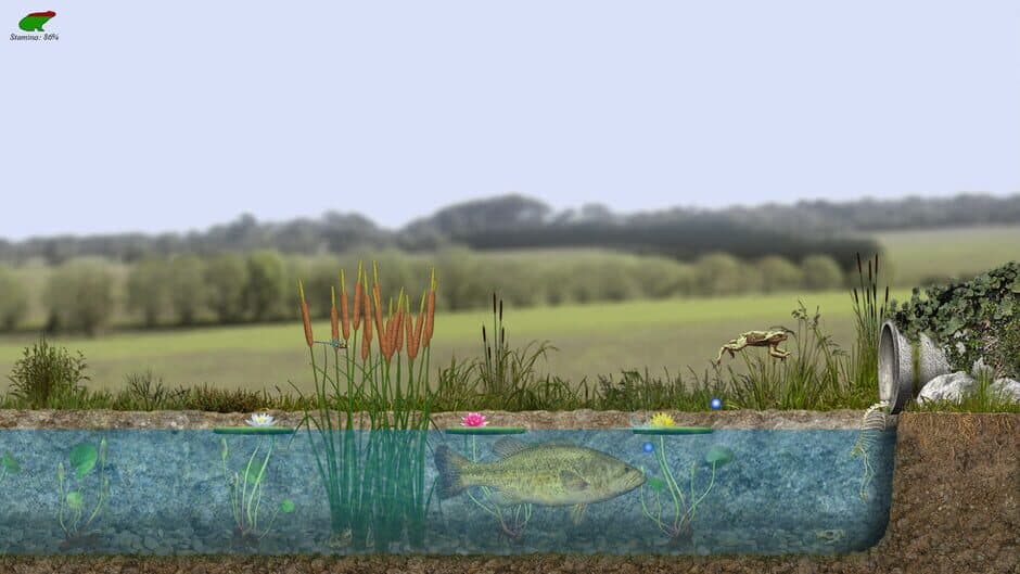 A toad well travelled screenshot
