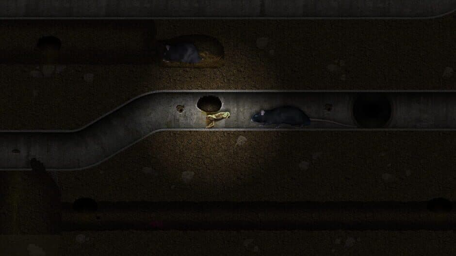 A toad well travelled screenshot