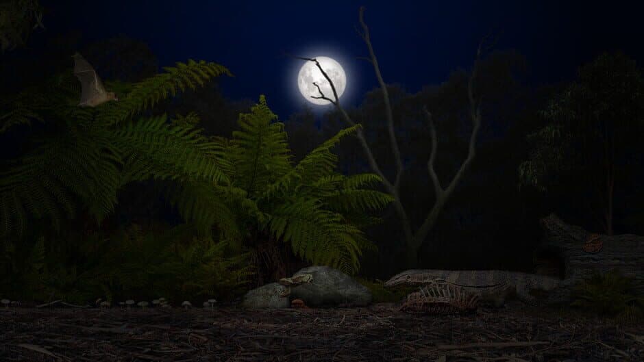 A toad well travelled screenshot