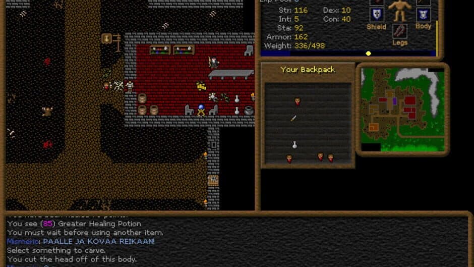 Dransik screenshot
