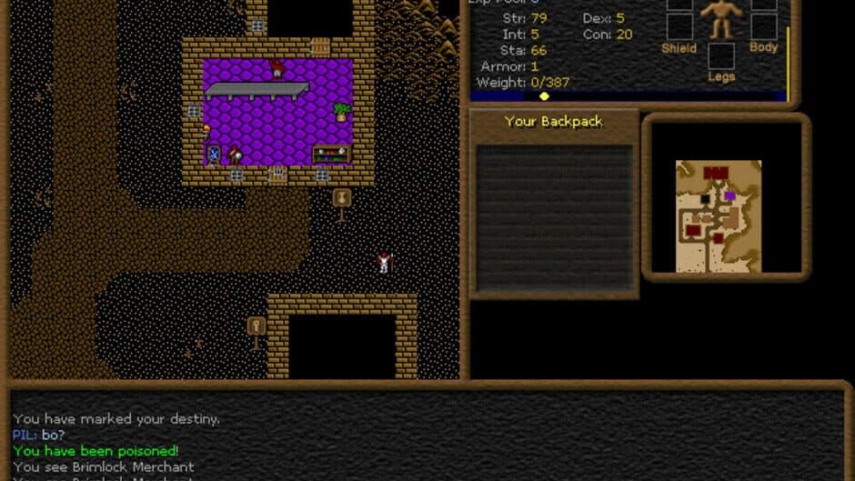 Dransik screenshot