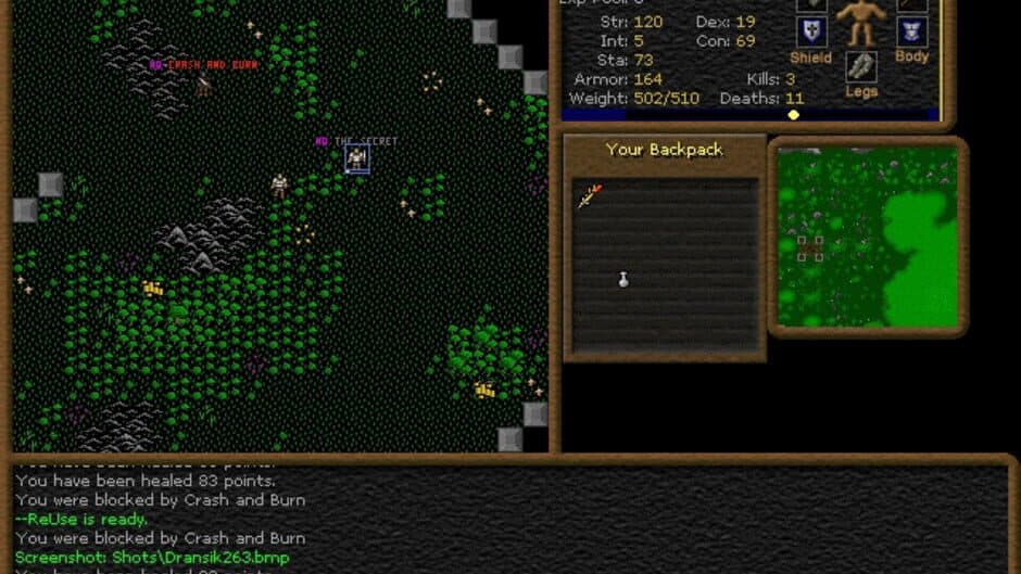 Dransik screenshot