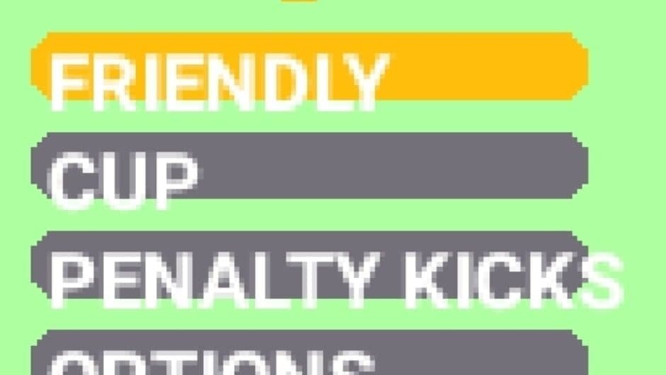 Real Football 2008 screenshot