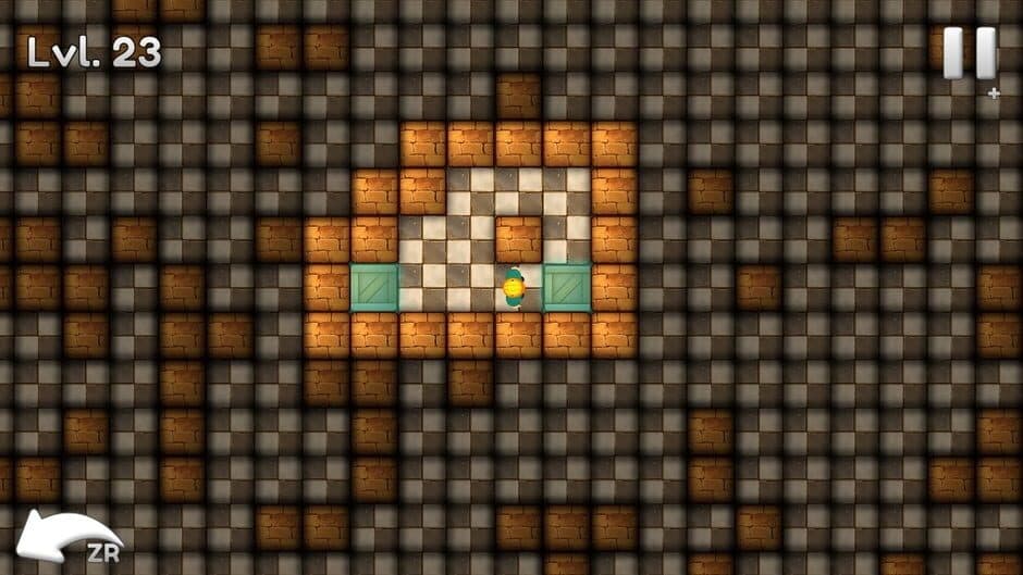Sokoban Block Puzzle screenshot
