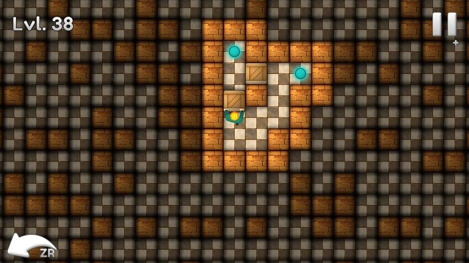 Sokoban Block Puzzle screenshot