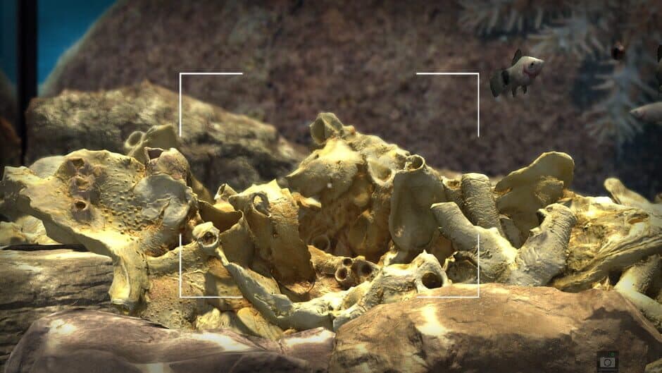 Snapshot Aquarium screenshot