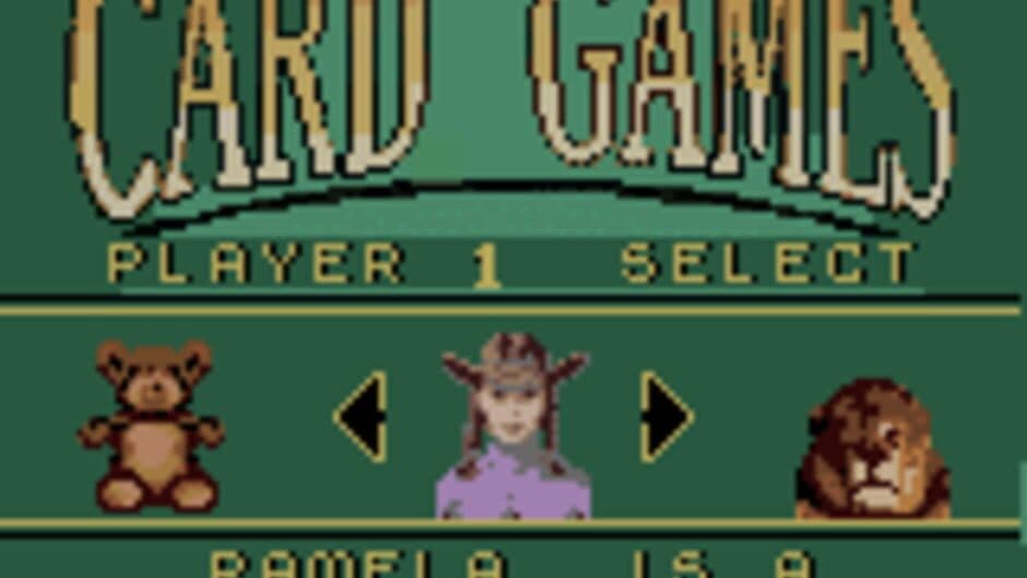 Hoyle Card Games screenshot