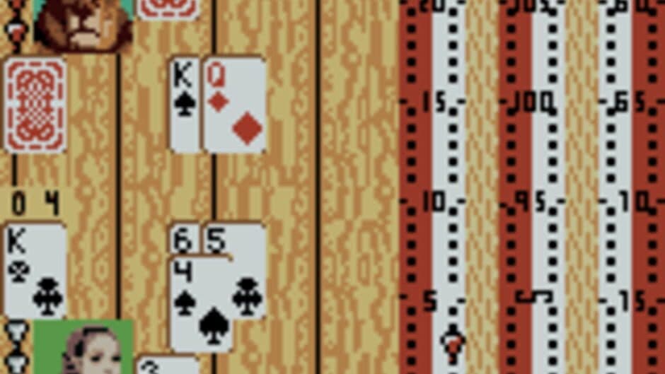 Hoyle Card Games screenshot