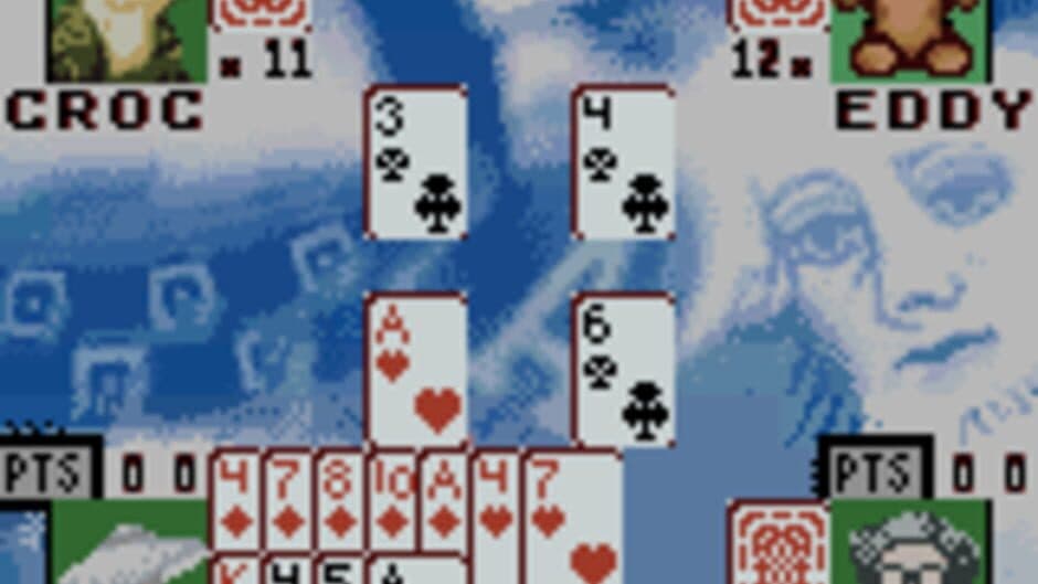 Hoyle Card Games screenshot