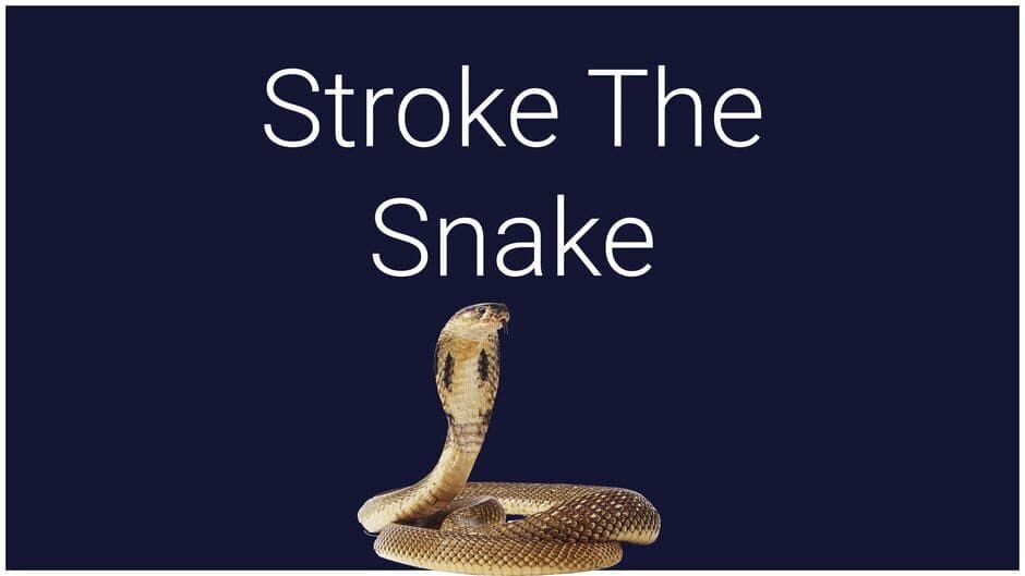 Stroke the Snake screenshot