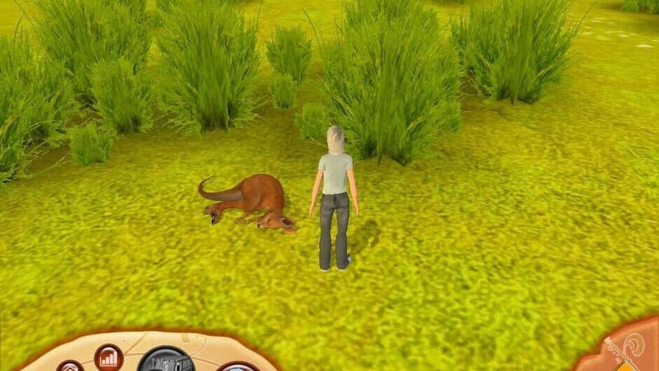 Paws & Claws Pet Vet: Australian Adventures screenshot