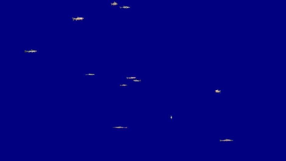King of Water screenshot