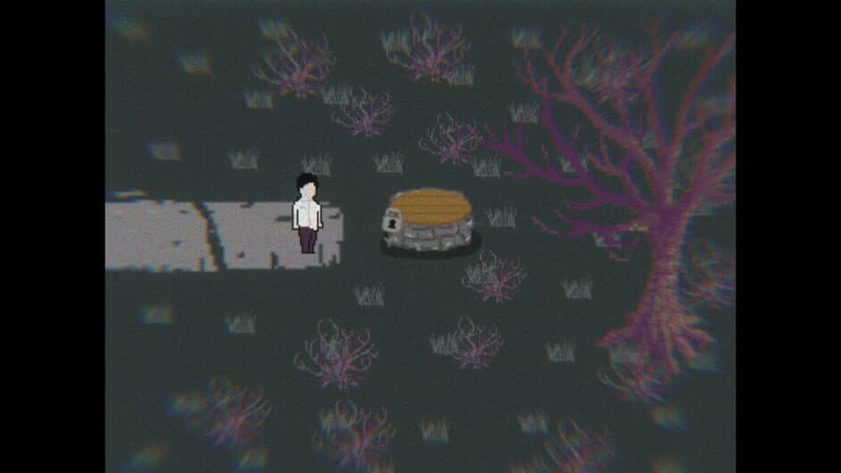 Woods of Disturbance screenshot