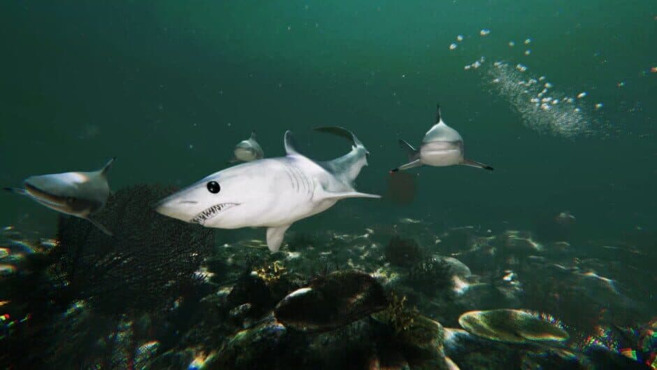 Death in the Water 2 screenshot