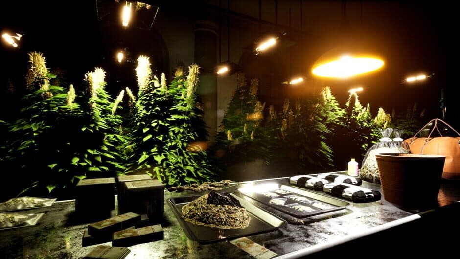 Drug Dealer Simulator 2 screenshot