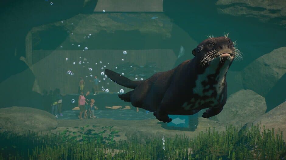 Planet Zoo: Aquatic Pack screenshot