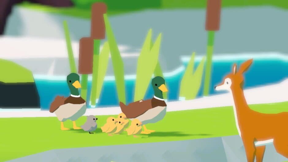 Forest Island screenshot