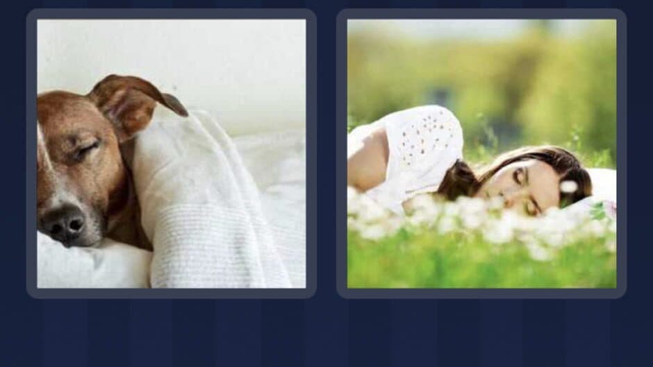 4 Pics 1 Word screenshot