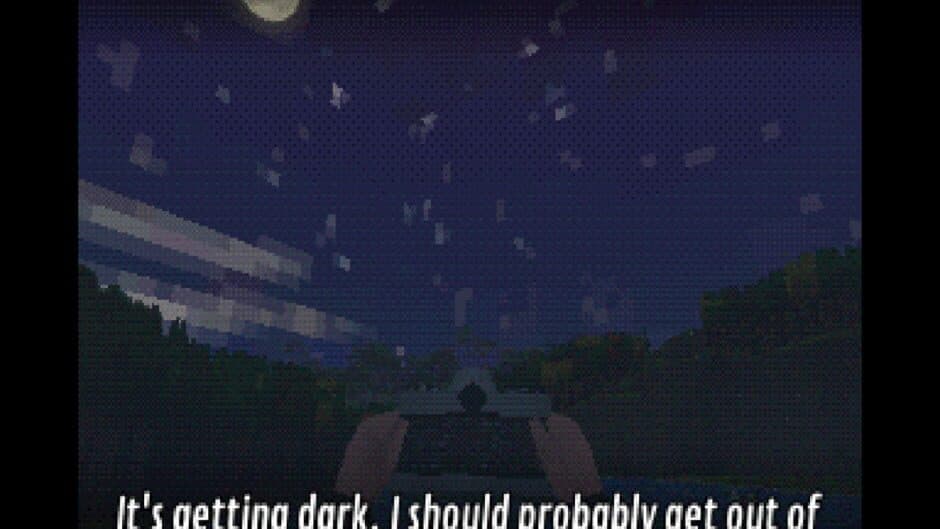 Birdwatcher screenshot