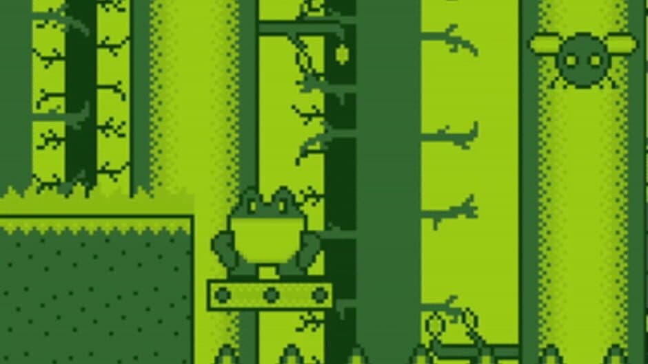 Froggy Quest screenshot
