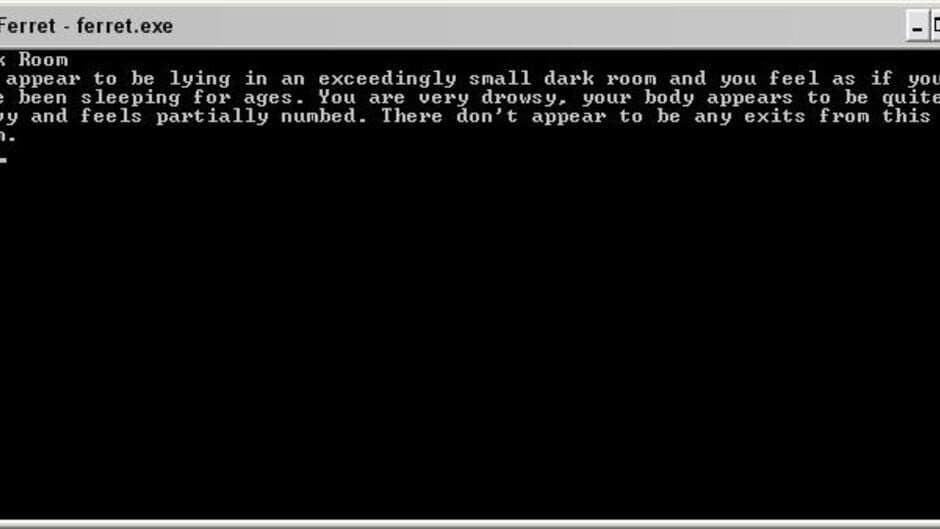 Ferret screenshot