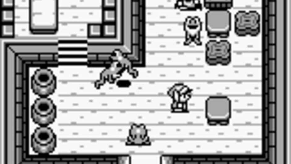 The Legend of Zelda: Link's Awakening screenshot