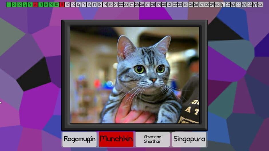 Test Your Knowledge: Cats screenshot