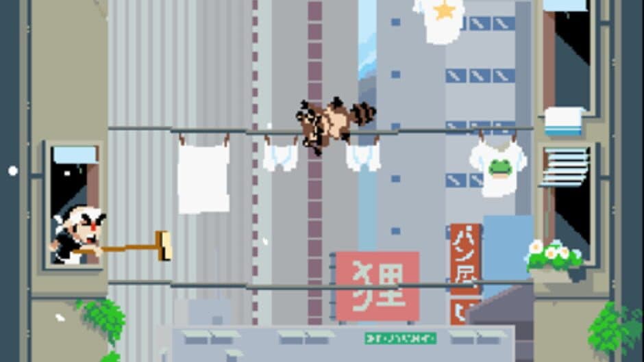 Raccoon Rascals screenshot