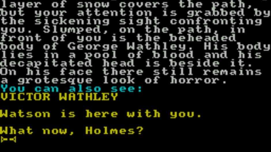 Sherlock Holmes: The Case of the Beheaded Smuggler screenshot