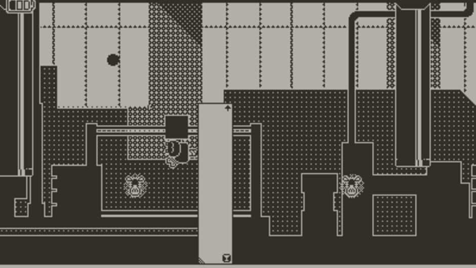 Cranky Frog screenshot
