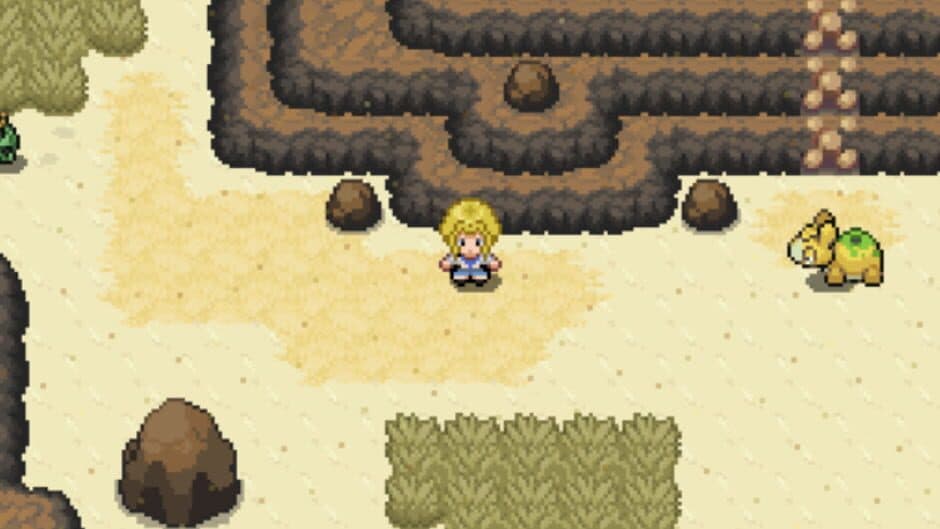 Pokémon Altar screenshot