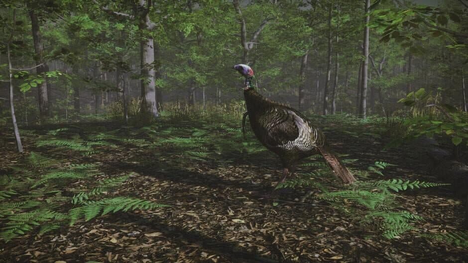 Pro Turkey Hunting screenshot