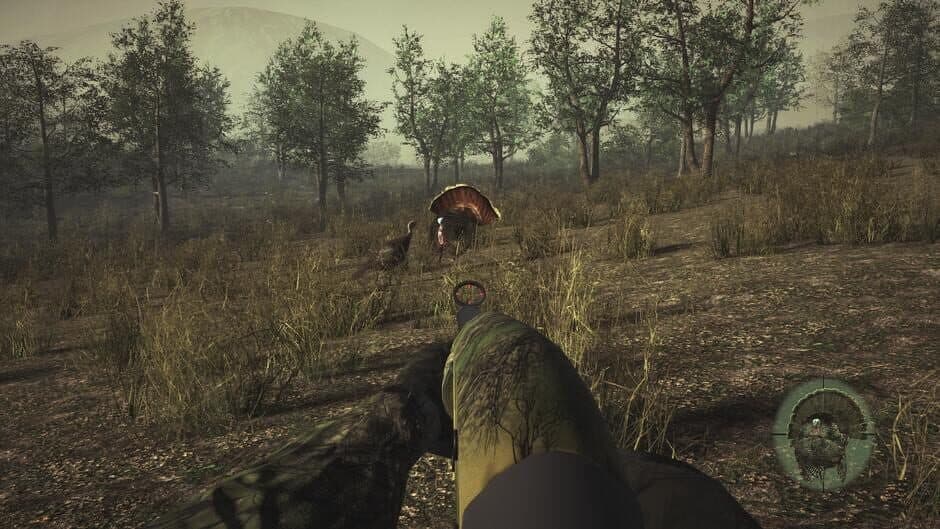 Pro Turkey Hunting screenshot