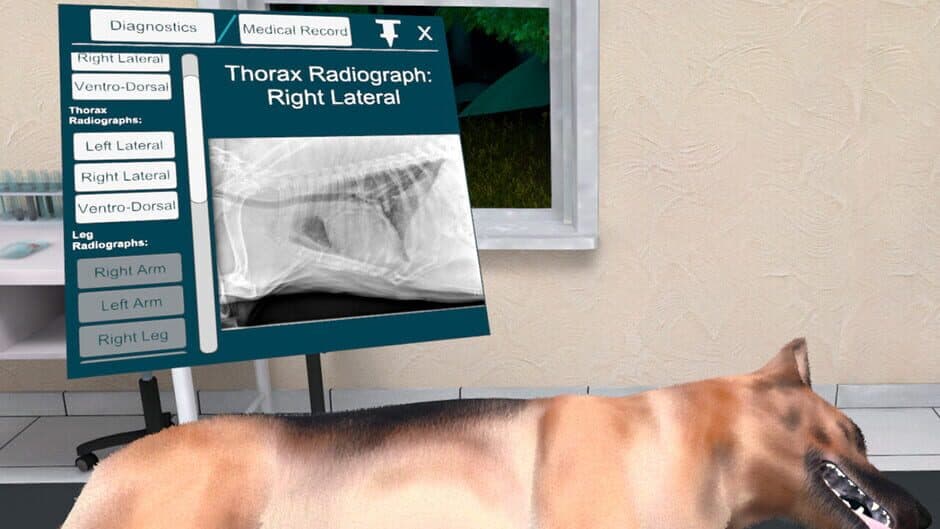 VetVR: Veterinary Simulator screenshot