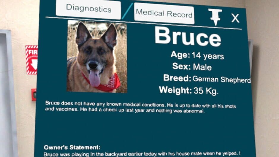 VetVR: Veterinary Simulator screenshot