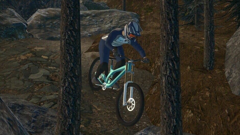 Downhill Pro Racer screenshot