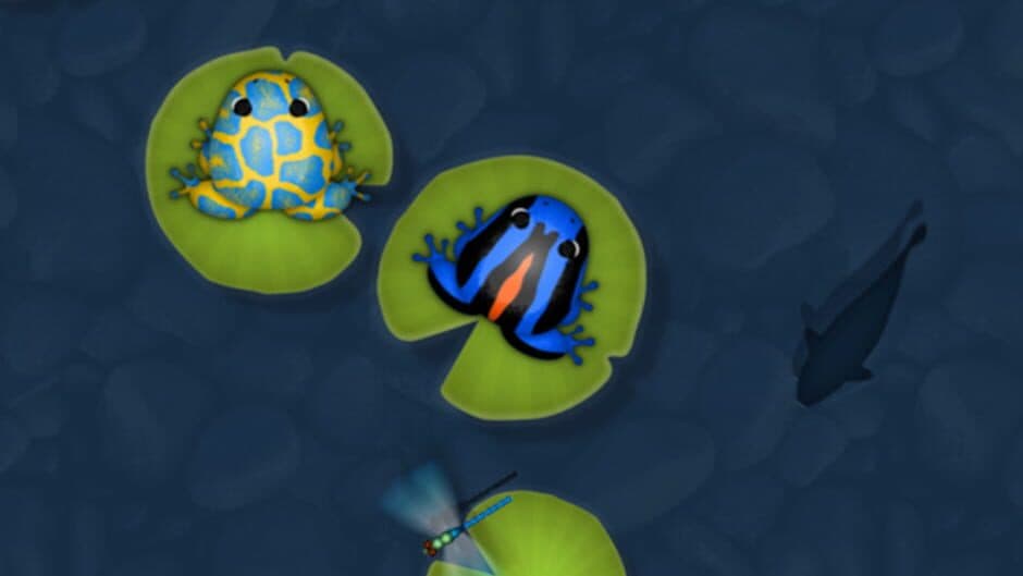 Pocket Frogs screenshot