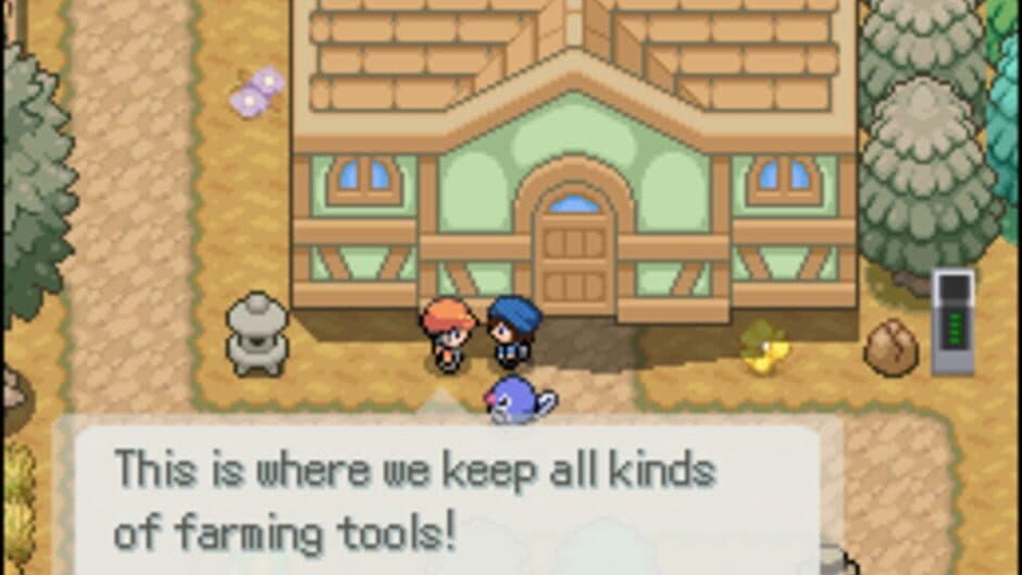 Pokémon Floral Tempus EX screenshot